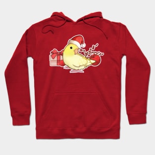 Cute Christmas Bird Hoodie